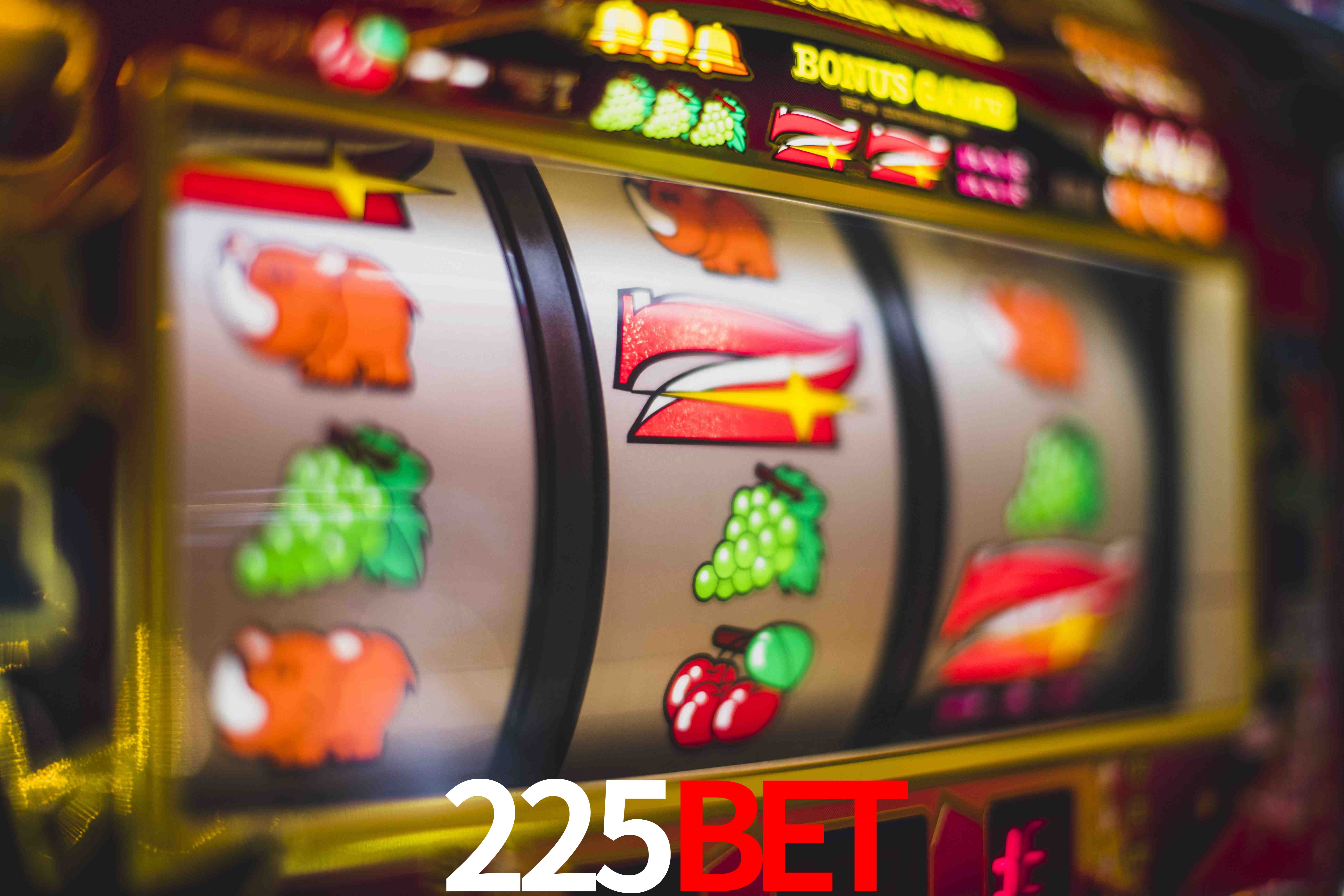 Roulette Table 225Bet